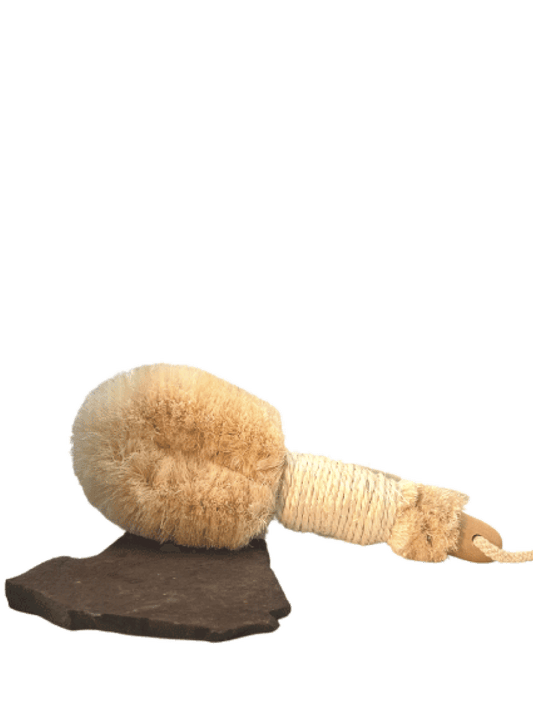 Ayurvedic Dry Brush